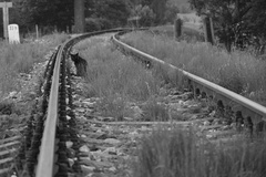 stará bosorka má doupě za rohom.