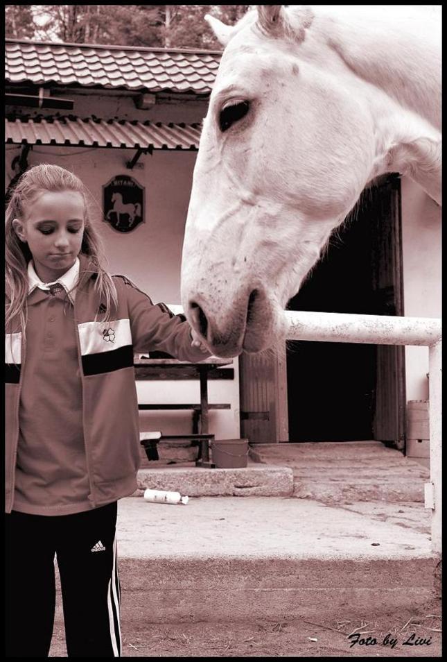 láska ku koňom