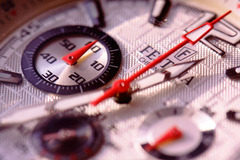 festina