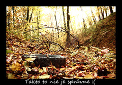 smutna to jesen