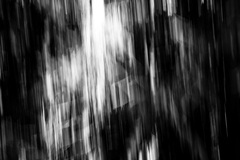dark