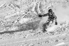 FreeRide