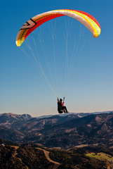 Fly
