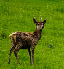 Kto pozicia hreben?Vratim...