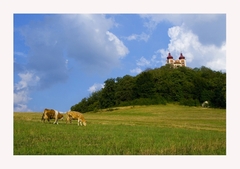 Kalvária