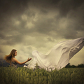 Illusionary Reunion (Dream Serie