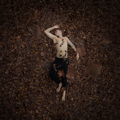 The Fall (Dream Series)