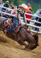 rodeo
