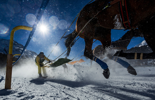 White turf