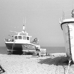 Dungeness