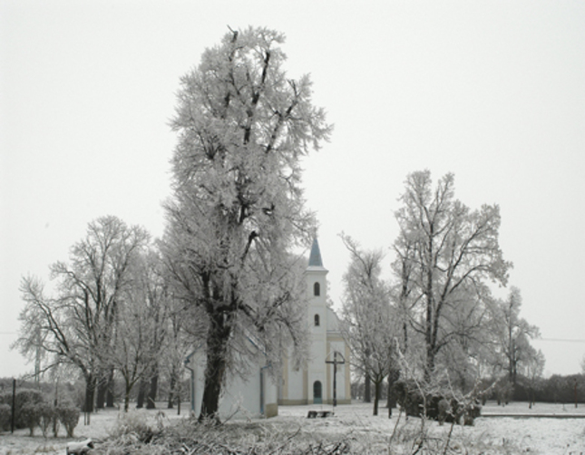 Vianočný čas II.