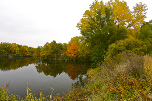 Jesenný rybník...