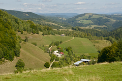 Kokavské kolešne II