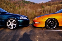 moj pomaranc a priatelkina zaba