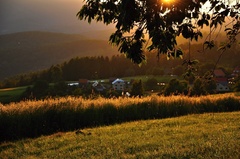 Kľudné lazy