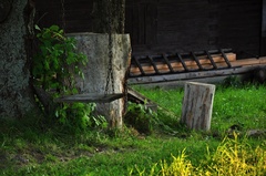 Odych