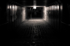 Elm Street