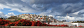 las palmas