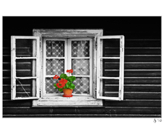 Drevenička starých materí