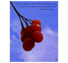 Šťastné a veselé.....