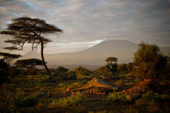 kilimanjaro II