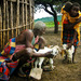 pred masajskou dedinou