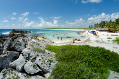privat island freedom