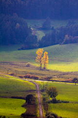 spiš
