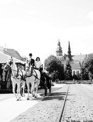 Svadobný koč