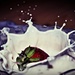 strawberry in milk
