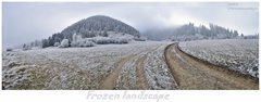 zamrznutá krajina