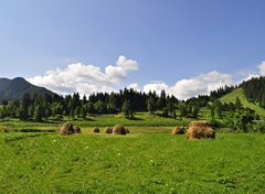zelená a modrá