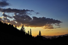 sundawn