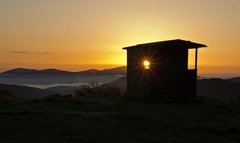 sunny morning