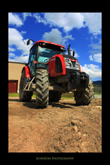 Zetor