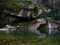 ZELENY SVET