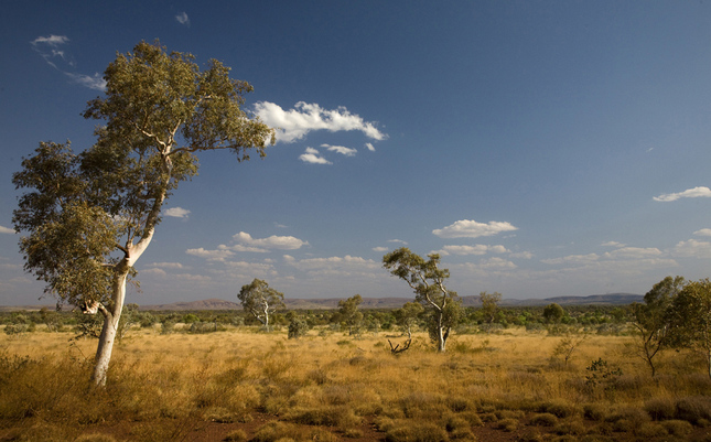 Aussie Outback 01