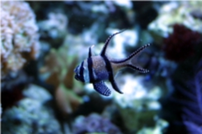 Návšteva Tropicaria