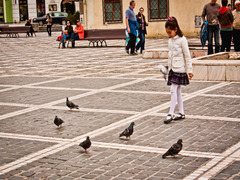 Dievča a holuby