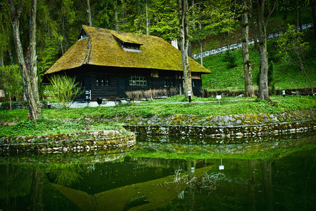 Záhrada pod Branom