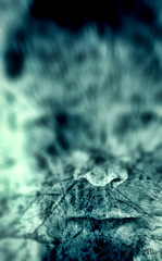 frozen