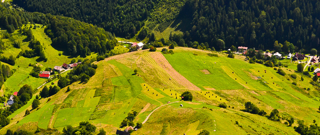 krajinka slovenska