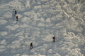 Alpinisti - Chopok FEB2012