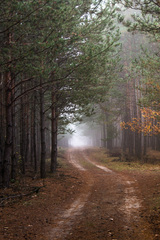 roadway.to.heaven