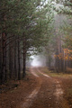 roadway.to.heaven
