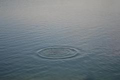 stones in water