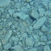 ježkovia pod vodou :)