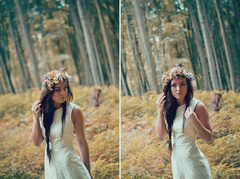 forest enticement II