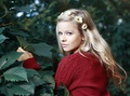 Lila