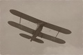 Polikarpov 2